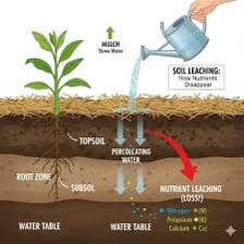 Water passing through soil and carrying dissolved material away.