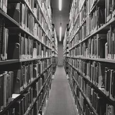 A calm, empty library interior suggesting quiet