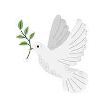 A white dove representing peace near an olive branch