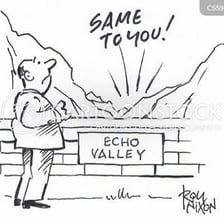 A person calling out in a canyon where the sound can echo.