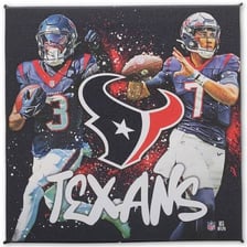 Houston Texans football players or team logo.