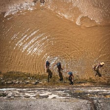 A person walking through shallow water