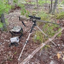 A rifle used for hunting in a wooded outdoor setting.