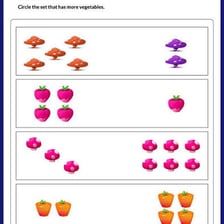 A group of similar objects arranged for comparison
