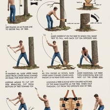 Woodsman using an axe near a tree