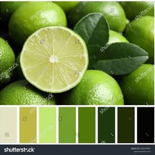 Fresh limes beside samples of their bright green color.