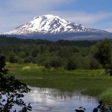 A trout lake surrounded by natural scenery