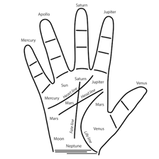 A palm reader examining lines on a person's hand