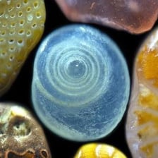 Sand grains on a beach.