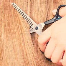 Scissors cutting hair in a barbershop.