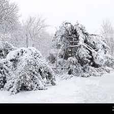 Ice pellets of sleet falling during a winter storm.