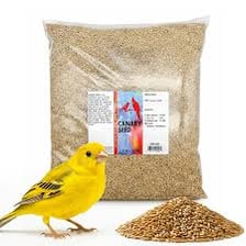 A yellow canary eating seeds from a small feeder.