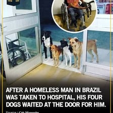 A person being allowed to enter through a doorway.