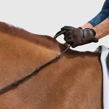 A rider holding reins while mounted on a horse