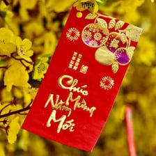 A Vietnamese Tết celebration with traditional decorations.