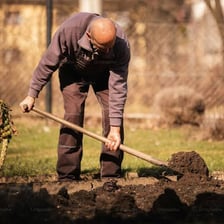 A person using a shovel to dig in the ground.