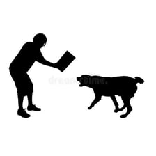 A dog moving toward a person in an aggressive posture