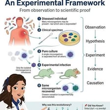 A researcher presenting evidence from an experiment