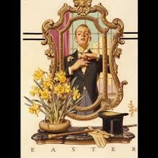 Person carefully grooming their appearance in a mirror