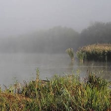 A layer of mist or vapor hovering over a lake