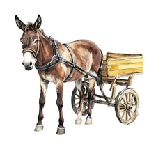 A donkey harnessed to a small cart.