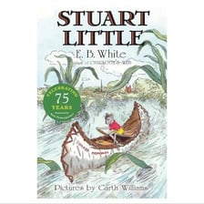A portrait of author E. B. White associated with Stuart Little
