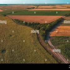 Aerial view of rectangular cultivated farm fields