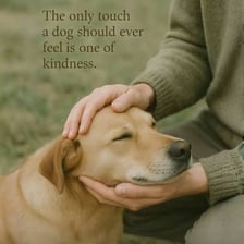 A hand gently petting a calm dog.