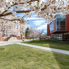 The campus of Adelphi University in Garden City, New York