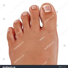 A close view of the toes on a human foot