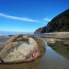 A shoreline after the tide has ebbed away