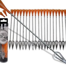 A small pointed dart used with a blowgun