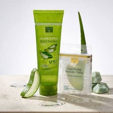An aloe vera plant beside the clear gel used in skin-care products