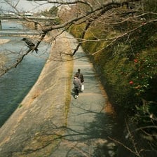 A path running next to a river.