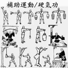 Martial artist practicing kung fu