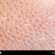 A close-up view showing pores on human skin