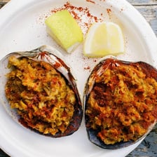 Quahog clams shown in their shells.
