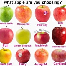 Fujis, Gala, and Honeycrisp apples shown together for comparison
