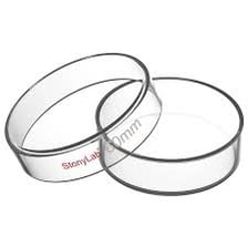 A shallow glass Petri dish used for laboratory cultures.
