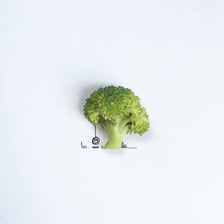 A very small object shown beside a larger object for scale.