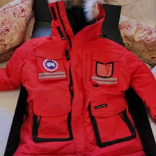 A Canada Goose insulated winter coat.