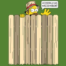 Ned Flanders from The Simpsons.