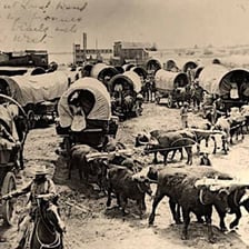 A team of oxen pulling a farm cart
