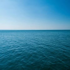 A broad expanse of salt water meeting the horizon