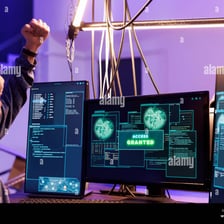 People celebrating successful access to a computer system.
