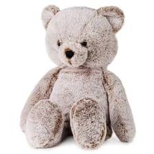 A soft brown teddy bear plush toy.