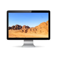 A computer monitor displays a detailed landscape image.