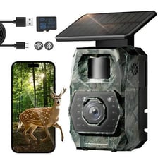 A trail camera mounted near a forest path for recording wildlife.