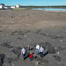 People digging for clams along a seashore at low tide.