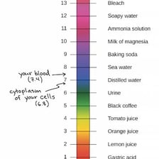 An educational pH scale showing the acidic range